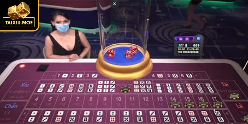 Hiểu tường tận luật chơi và các kiểu cược phổ biến