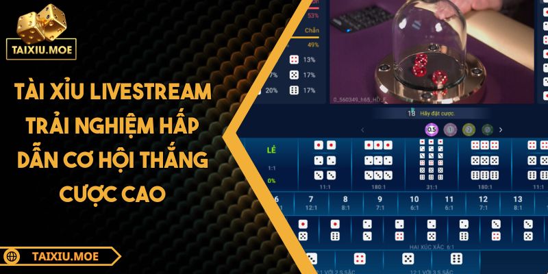 Tài Xỉu Livestream Trải Nghiệm Hấp Dẫn Cơ Hội Thắng Cược Cao 5 Tài Xỉu Livestream
