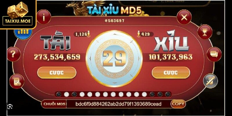Tìm hiểu sơ lược về dạng Tài Xỉu MD5
