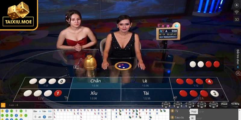 Xóc Đĩa Tài Xỉu Là Gì? Khám Phá Chiến Lược, Mẹo Chiến Thắng 3 Vấn đề cần lưu ý tránh rủi ro không đáng có